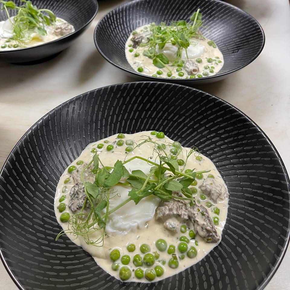 Three black bowls of creamy risotto with green peas, morel mushrooms, poached eggs, and pea shoots.