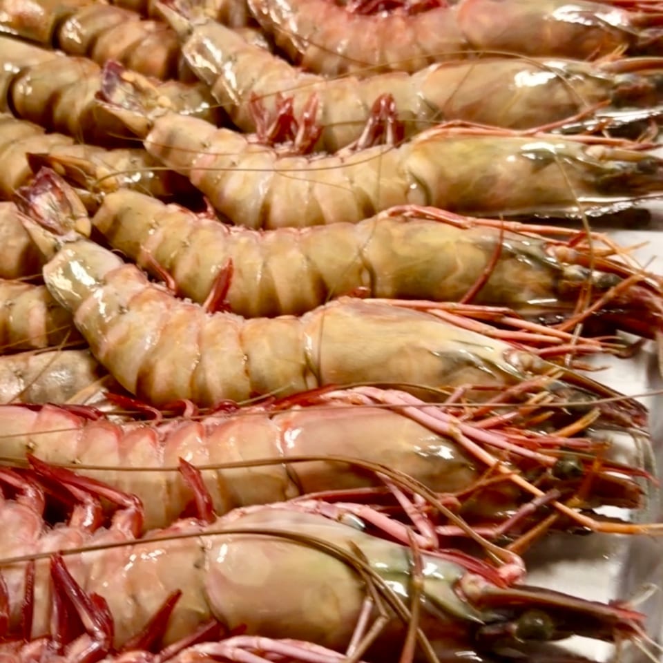 Close-up of many raw, fresh prawns with their heads and tails intact, arranged in rows.